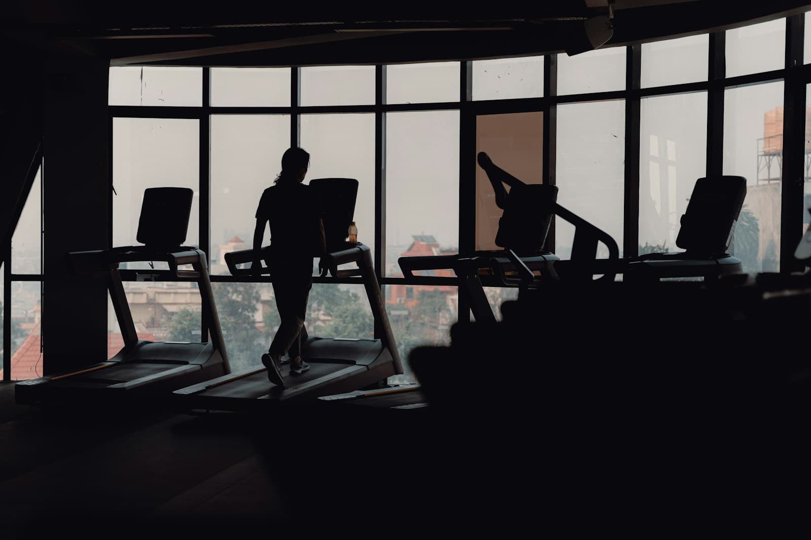Best WordPress Developers for Fitness Studio in India