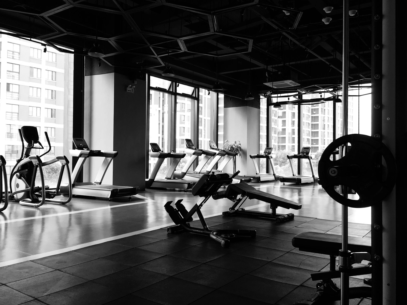 wordpress solutions for fitness studios